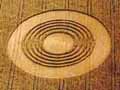 Woodford_Rings_Northamptonshire 1991